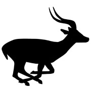Šablony Antilopa