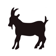 Šablony Koza
