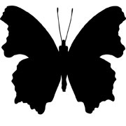 Šablony Motýl