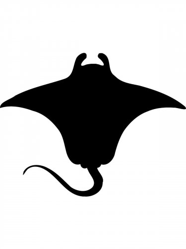 Free printable Manta Ray stencils and templates