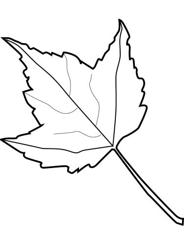 Free printable Leaf stencils and templates