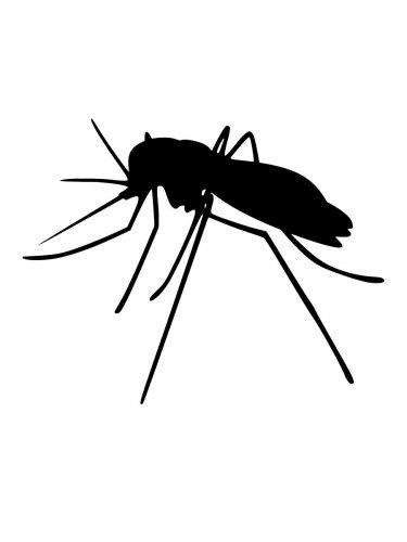 Free printable Mosquito stencils and templates