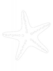 Free printable Starfish stencils and templates