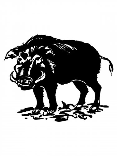 Free printable Boar stencils and templates