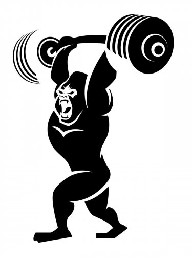 Free printable Weightlifting stencils and templates