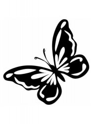 Трафареты Бабочки - Бесплатно распечатать