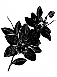 Трафареты Орхидеи - Бесплатно распечатать