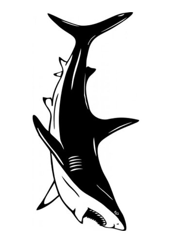 Free printable Shark stencils and templates