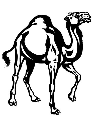 Free printable Camel stencils and templates