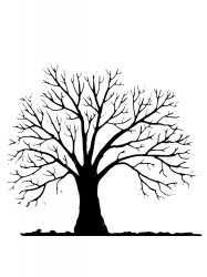 Трафареты Дерево без листьев - Бесплатно распечатать