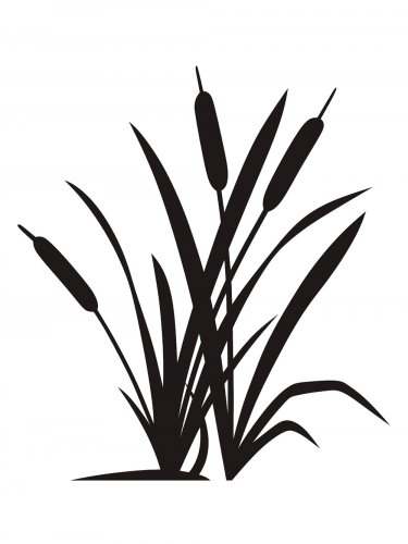 Free printable Bulrush stencils and templates