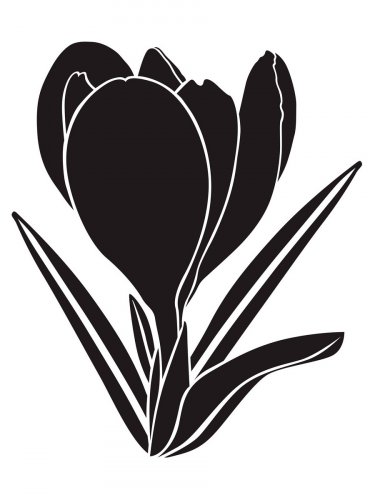 Free printable Snowdrop stencils and templates