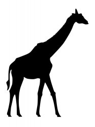 Трафареты Жирафа - Бесплатно распечатать