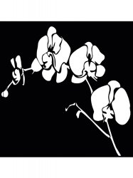 Трафареты Орхидеи - Бесплатно распечатать