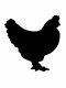 Free printable Chicken stencils and templates