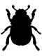 Free printable Beetle stencils and templates