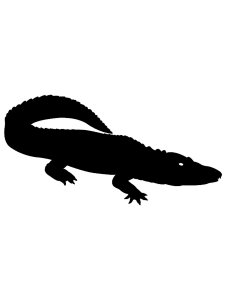 Alligator Stencil 2