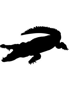 Alligator Stencil 8
