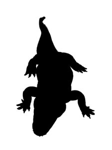 Alligator Stencil 9