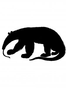Anteater Stencil 5