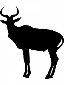 Antelope Stencil 1