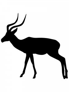 Antelope Stencil 6