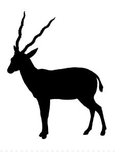 Antelope Stencil 7