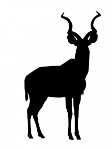 Antelope Stencil 9