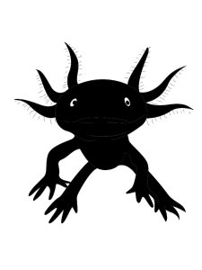Axolotl Stencil 2