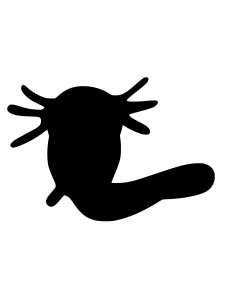 Axolotl Stencil 3