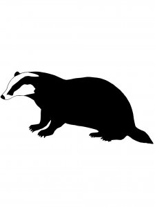 Badger Stencil 10