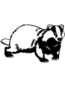 Badger Stencil 7