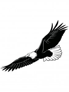 Bald Eagle Stencil 11