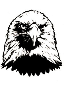 Bald Eagle Stencil 13
