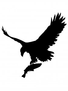 Bald Eagle Stencil 14
