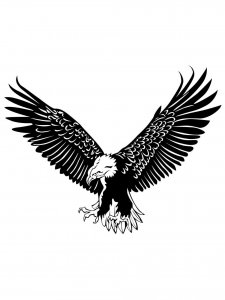 Bald Eagle Stencil 15