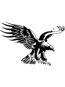 Bald Eagle Stencil 16