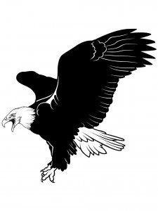 Bald Eagle Stencil 17