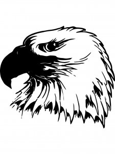 Bald Eagle Stencil 18