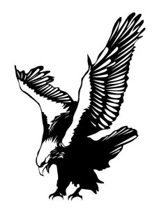 Bald Eagle Stencil 2