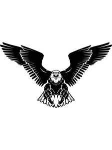 Bald Eagle Stencil 20