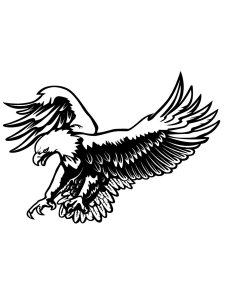 Bald Eagle Stencil 21