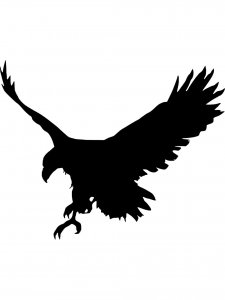 Bald Eagle Stencil 24
