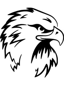Bald Eagle Stencil 25