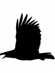 Bald Eagle Stencil 4