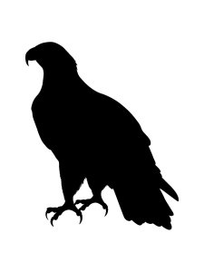 Bald Eagle Stencil 6