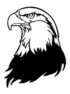 Bald Eagle Stencil 9
