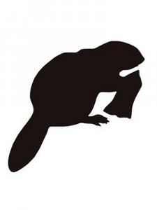 Beaver Stencils 12