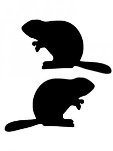 Beaver Stencils 19