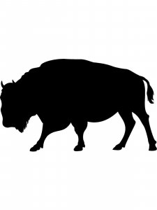 Bison Stencil 1